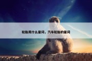 轮胎用什么量词，汽车轮胎的量词