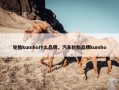 轮胎kumho什么品牌，汽车轮胎品牌kumho