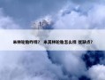 米林轮胎咋样？ 米其林轮胎怎么样 优缺点？