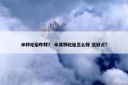 米林轮胎咋样？ 米其林轮胎怎么样 优缺点？