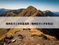锦州瓜子二手车直卖网（锦州瓜子二手车电话）