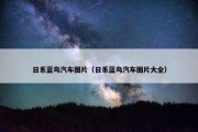 日系蓝鸟汽车图片（日系蓝鸟汽车图片大全）