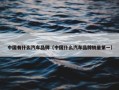 中国有什么汽车品牌（中国什么汽车品牌销量第一）