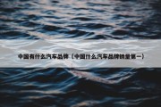中国有什么汽车品牌（中国什么汽车品牌销量第一）