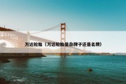 万达轮胎（万达轮胎是杂牌子还是名牌）