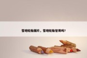 雪地轮胎图片，雪地轮胎管用吗?