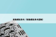 轮胎螺丝多大（轮胎螺丝多大扭矩）