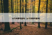 小汽车限号查询（小气车限号查询）