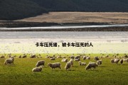 卡车压死猪，被卡车压死的人