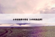 小车轮胎牌子排名（小车轮胎品牌）