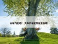 大车汽配吧？ 大车汽车配件批发市场？