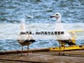 dm汽车，dm汽车什么意思啊