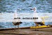 dm汽车，dm汽车什么意思啊