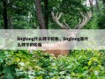 linglong什么牌子轮胎，linglong是什么牌子的轮胎