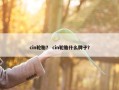 cin轮胎？ cin轮胎什么牌子？