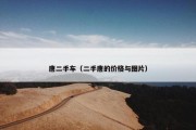唐二手车（二手唐的价格与图片）
