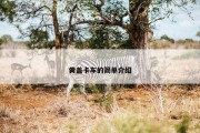 黄盖卡车的简单介绍