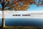 光头强汽配？ 光头强汽车？
