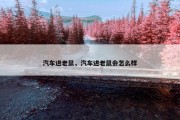 汽车进老鼠，汽车进老鼠会怎么样