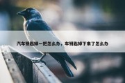 汽车钥匙掉一把怎么办，车钥匙掉下来了怎么办
