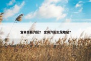宜宾高县汽配？ 宜宾汽配批发地址？