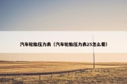 汽车轮胎压力表（汽车轮胎压力表25怎么看）