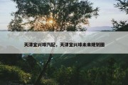 天津宜兴埠汽配，天津宜兴埠未来规划图