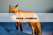 卡车礼嫂（卡车视频大全）