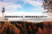 森麒麟轮胎质量怎么样，森麒麟轮胎质量怎么样2055516