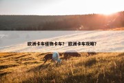 欧洲卡车怪物卡车？ 欧洲卡车攻略？