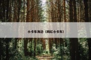 小卡车海边（网红小卡车）