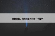 狗狗轮胎，狗狗轮胎的另外一个名字