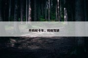 开蚂蚁卡车，蚂蚁驾驶