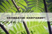 东风卡车胎压多少合理（东风货车气压表是哪个）