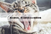 跨斗摩托车，跨斗摩托车2025新款价格