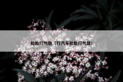 轮胎打气筒（打汽车轮胎打气筒）