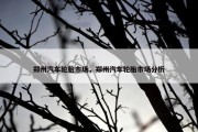 郑州汽车轮胎市场，郑州汽车轮胎市场分析