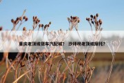 重庆老顶坡货车汽配城？ 沙坪坝老顶坡摩托？