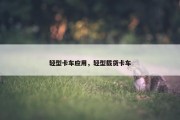轻型卡车应用，轻型载货卡车