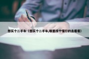 想买个二手车（想买个二手车,哪里找个懂行的去看看）