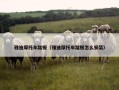 雅迪摩托车踏板（雅迪摩托车踏板怎么安装）