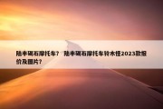 陆丰碣石摩托车？ 陆丰碣石摩托车铃木怪2023款报价及图片？