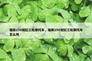 福田250双缸三轮摩托车，福田250双缸三轮摩托车怎么样
