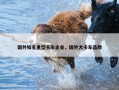 国外知名重型卡车企业，国外大卡车品牌