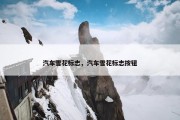 汽车雪花标志，汽车雪花标志按钮