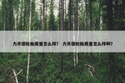 力贝德轮胎质量怎么样？ 力贝德轮胎质量怎么样啊？