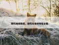 摩托维修教程，摩托车维修教程全集