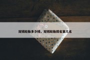 双钱轮胎多少钱，双钱轮胎排名第几名