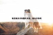有没有大卡车图片大全，有大卡车吗