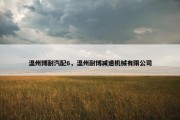 温州博耐汽配6，温州耐博减速机械有限公司